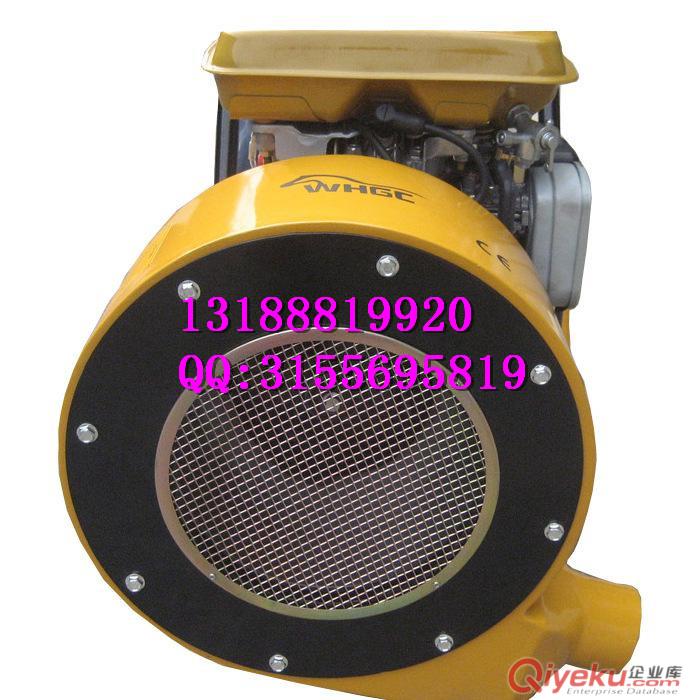 供應CF20馬路吹風機