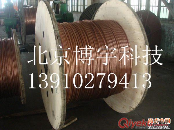 銅包鋼絞線(xiàn)/銅包鋼絞線(xiàn)價(jià)格/銅包鋼絞線(xiàn)廠(chǎng)家直銷(xiāo)