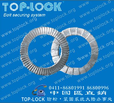 Top-Lock双叠锁紧垫圈