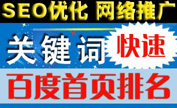 上海专业的网站优化公司-途光网络