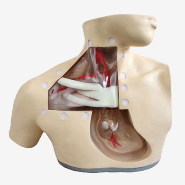 KAY-H72高级肠外营养护理模型-护理专业技能训练模型-医用教学模型-上海康谊医学模型厂家