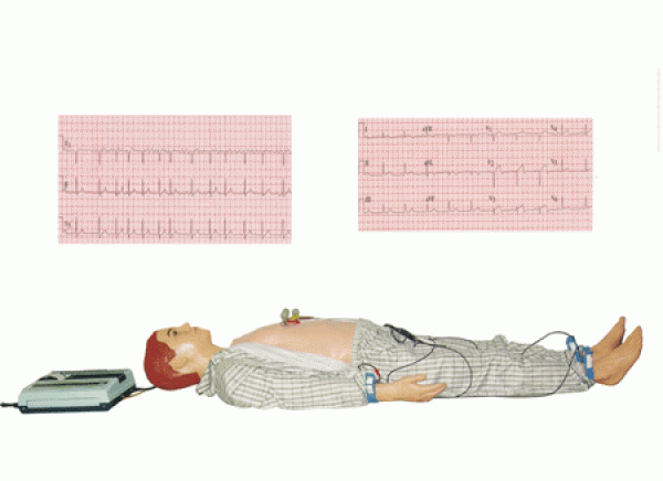 康誼牌KAY-DGN-Ⅳ心肺觸診聽診電腦模擬人-心肺聽診模擬人-臨床專業(yè)技能訓(xùn)練模型