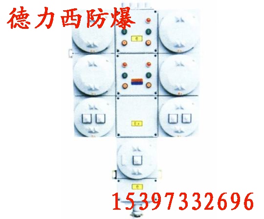 定制非標(biāo)BDMX系列防爆動(dòng)力（電磁起動(dòng)）配電箱報(bào)價(jià)