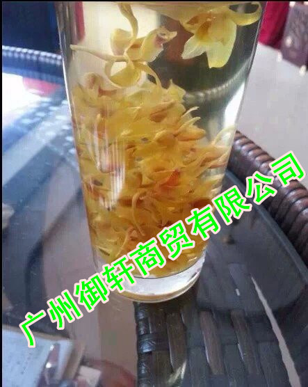 批發鐵皮石斛花 鐵皮石斛楓斗 紫皮石斛楓斗