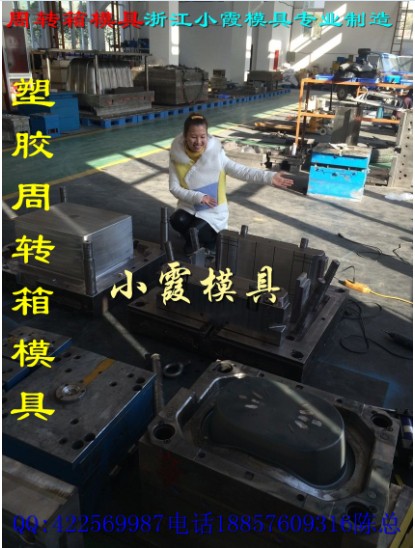 一次性啤酒箱模具，水果箱塑料模具，塑料整理箱模具，塑料周轉(zhuǎn)箱模具,塑膠啤酒箱模具