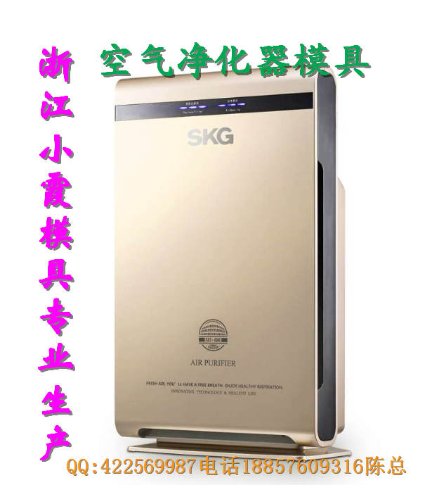 塑料模空氣凈化器模具生產廠家，供應氧氣制氧機模具，黃巖模具好的公司