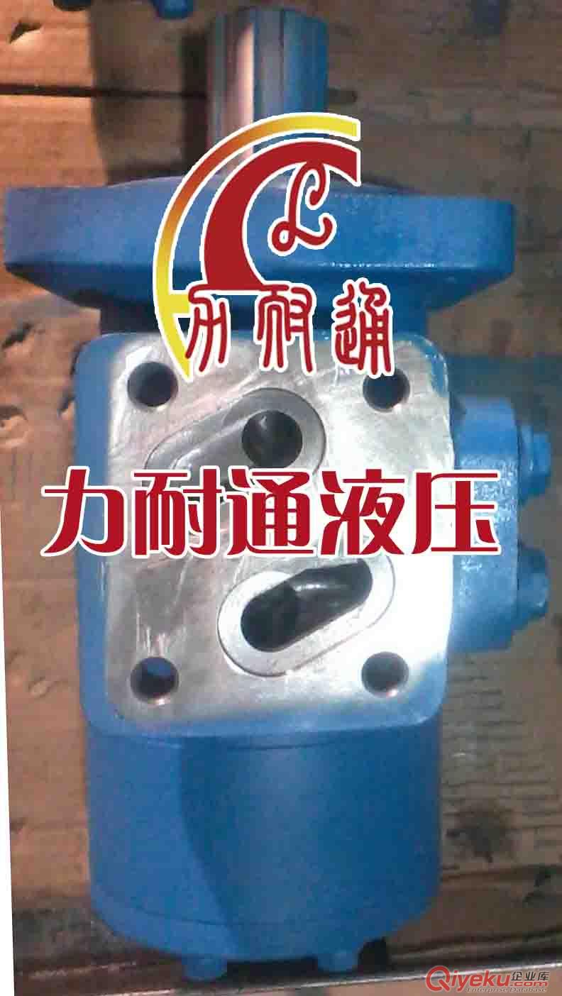 小吊專用液壓馬達(dá)LM3系列原始圖片2