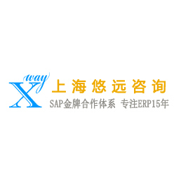 中小企業(yè)ERP系統(tǒng) SAP系統(tǒng) SAP軟件 上海悠遠(yuǎn)咨詢