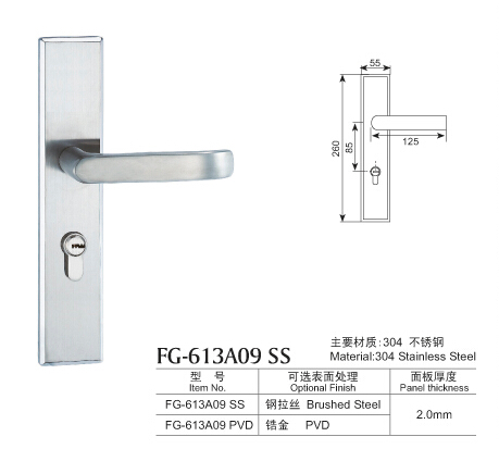 260豪華不銹鋼木大門鎖系列