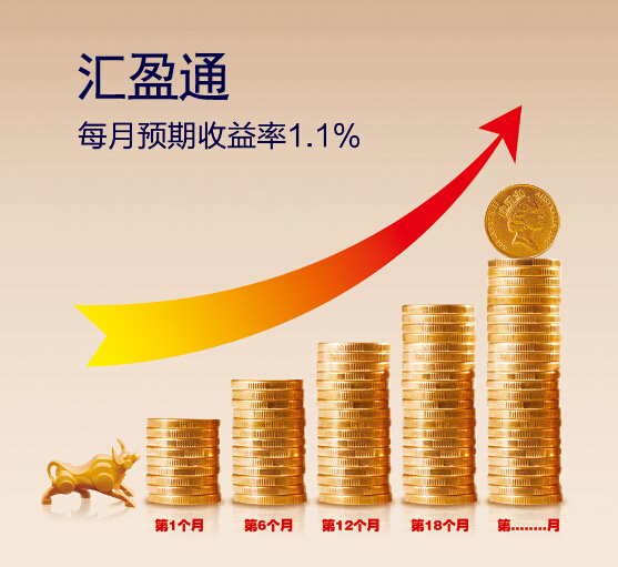 汇盈通:每月预期收益率1.1%