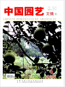 濟南-藝術教育教學論文快速發表濟南小學教師職稱論文發表