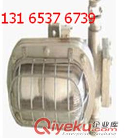 DGC35/127N(B)隔爆型支架燈-工藝精湛