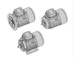 MOTOVARIO T/TS標(biāo)準(zhǔn)電機(jī)