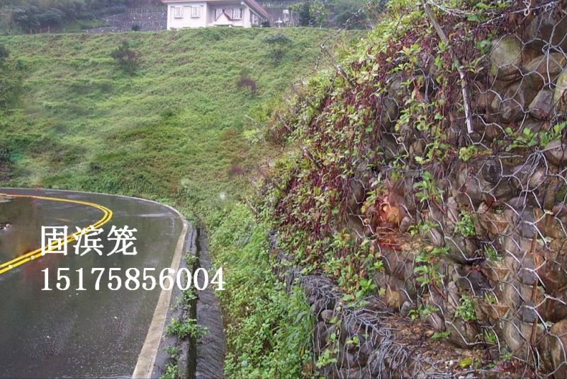 生態河渠治理格賓籠【河道護坡護岸格賓墊】生態防汛賓格墊原始圖片2