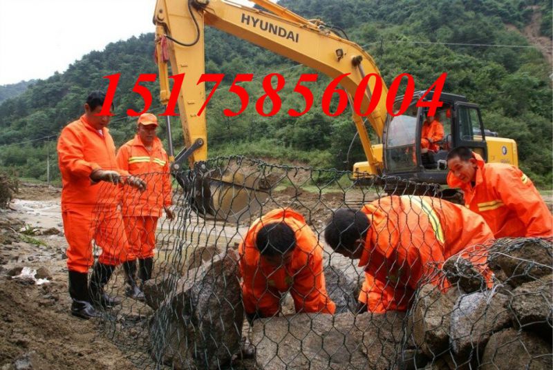 河道生態護坡格賓墊，厚鍍高爾凡賓格墊防洪護堤，防汛賓格墊加固堤壩原始圖片3