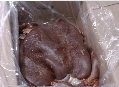 臨沂冷凍驢肉批發(fā)/居村潤龍驢肉