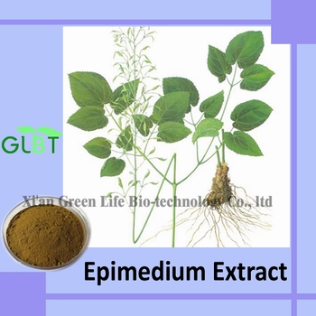 廠家直銷高品質紫錐菊提取物【現低價供應】