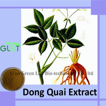 廠家直銷高品質當歸提取物【現(xiàn)低價供應】原始圖片3