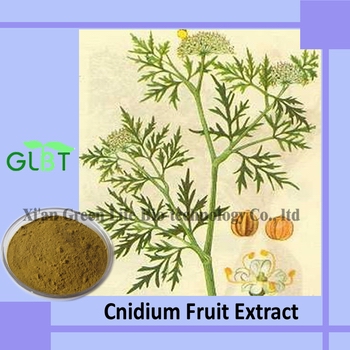 廠(chǎng)家直銷(xiāo)高品質(zhì)蛇床子提取物【現(xiàn)低價(jià)供應(yīng)】原始圖片2