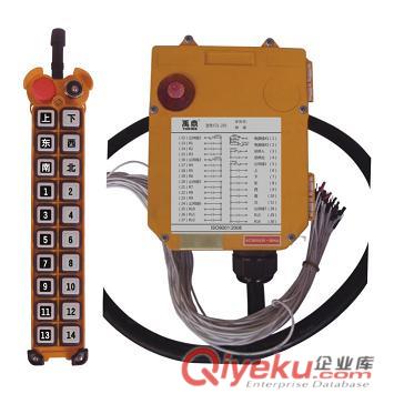 F21-20S 20個(gè)控制點(diǎn)的無(wú)線遙控器