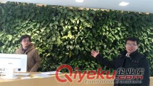 供應福建躍牛躍牛TM內外墻垂直綠化系統