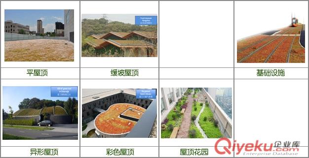 供應(yīng)廈門躍牛微花園