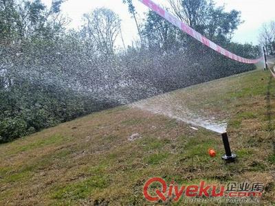 成都節(jié)水灌溉|成都滴灌管|成都噴灌|成都疊片過(guò)濾器|成都自動(dòng)施肥機(jī)原始圖片3
