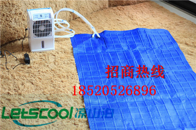 空調(diào)扇水冷毯 夏季空調(diào)扇水冷毯 水循環(huán)空調(diào)扇水冷毯報(bào)價(jià)原始圖片2