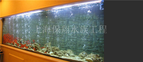 有机玻璃鱼缸/亚克力圆柱鱼缸/水族馆工程