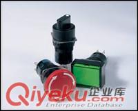 現貨銷售P+F傳感器NJ15+U1+A一級代理