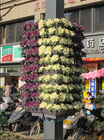 立體花架-園林工程-立體花架廠家供應