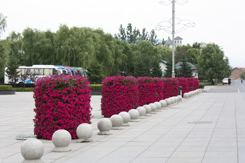 鐵藝花架廠家-鑫源鐵藝花架廠家生產