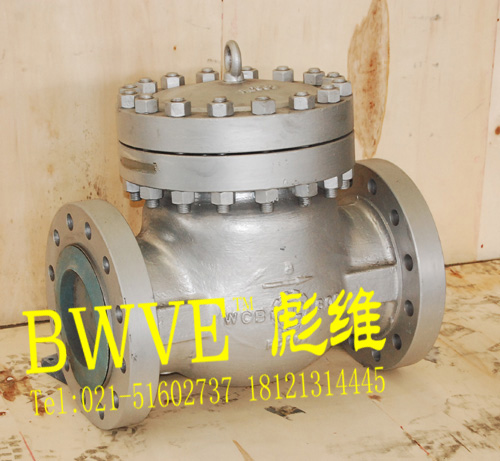 斯派莎克旋啟式止回閥原始圖片2