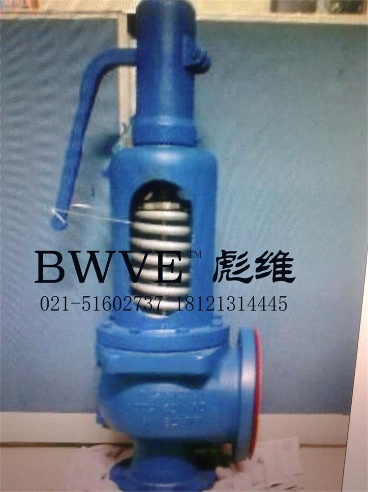 斯派莎克SV607安全閥