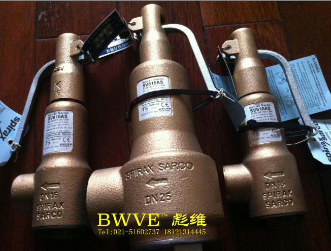 斯派莎克SV615安全閥